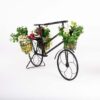 de035 bicyclette fleurie