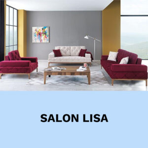 Salon Lisa VIP Location