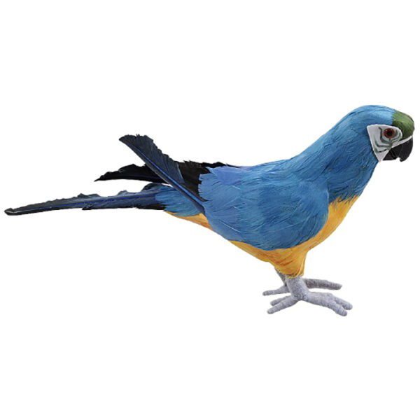 de006 perroquet deco bleu jaune