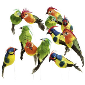 de014 mini perroquet deco multicolore 12 pieces location