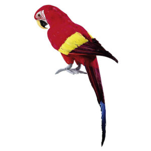 deco019 perroquet deco rouge multicolore location