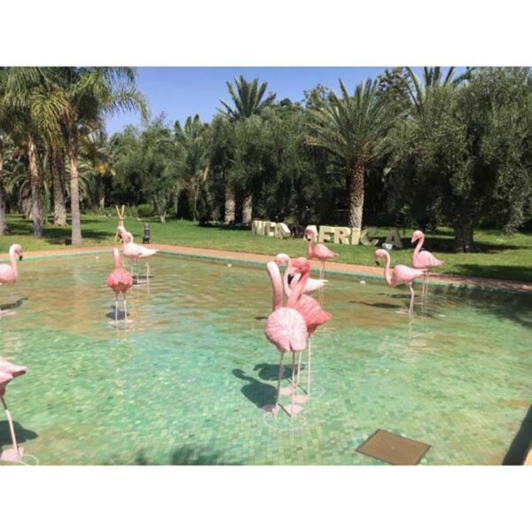 de063 flamant rose deco location autre situation location