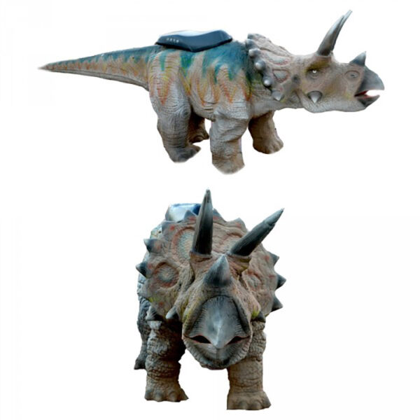 de075 dino triceratop walking location maroc