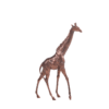 girafe objet deco location maroc