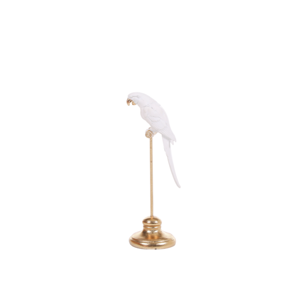 oiseau objet deco location maroc