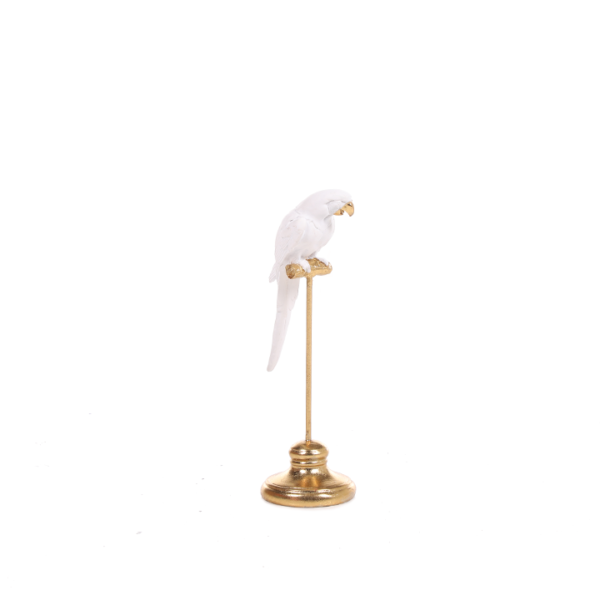 oiseau objet deco location maroc